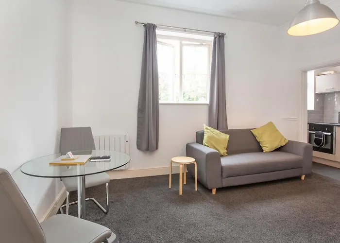 Sycamore * ヨーク